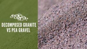 Decomposed Granite vs Pea Gravel 