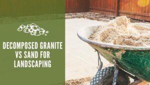 Decomposed Granite vs Sand for Landscaping 