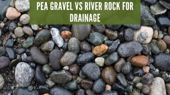 Pea Gravel vs River Rock for Drainage