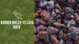 Rubber Mulch vs Lava Rock 