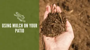 Using Mulch on Your Patio