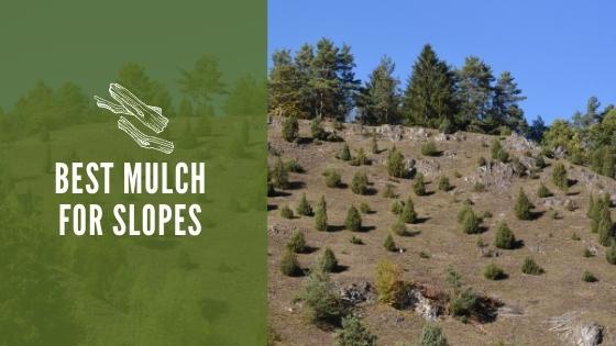 best mulch for slopes