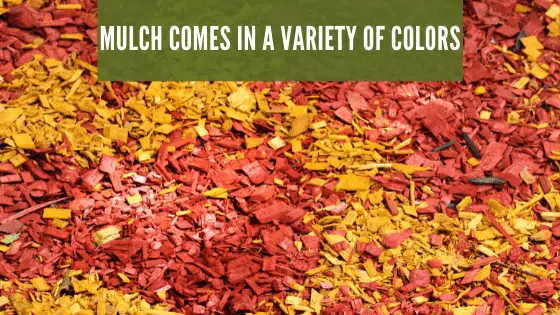 mulch colors